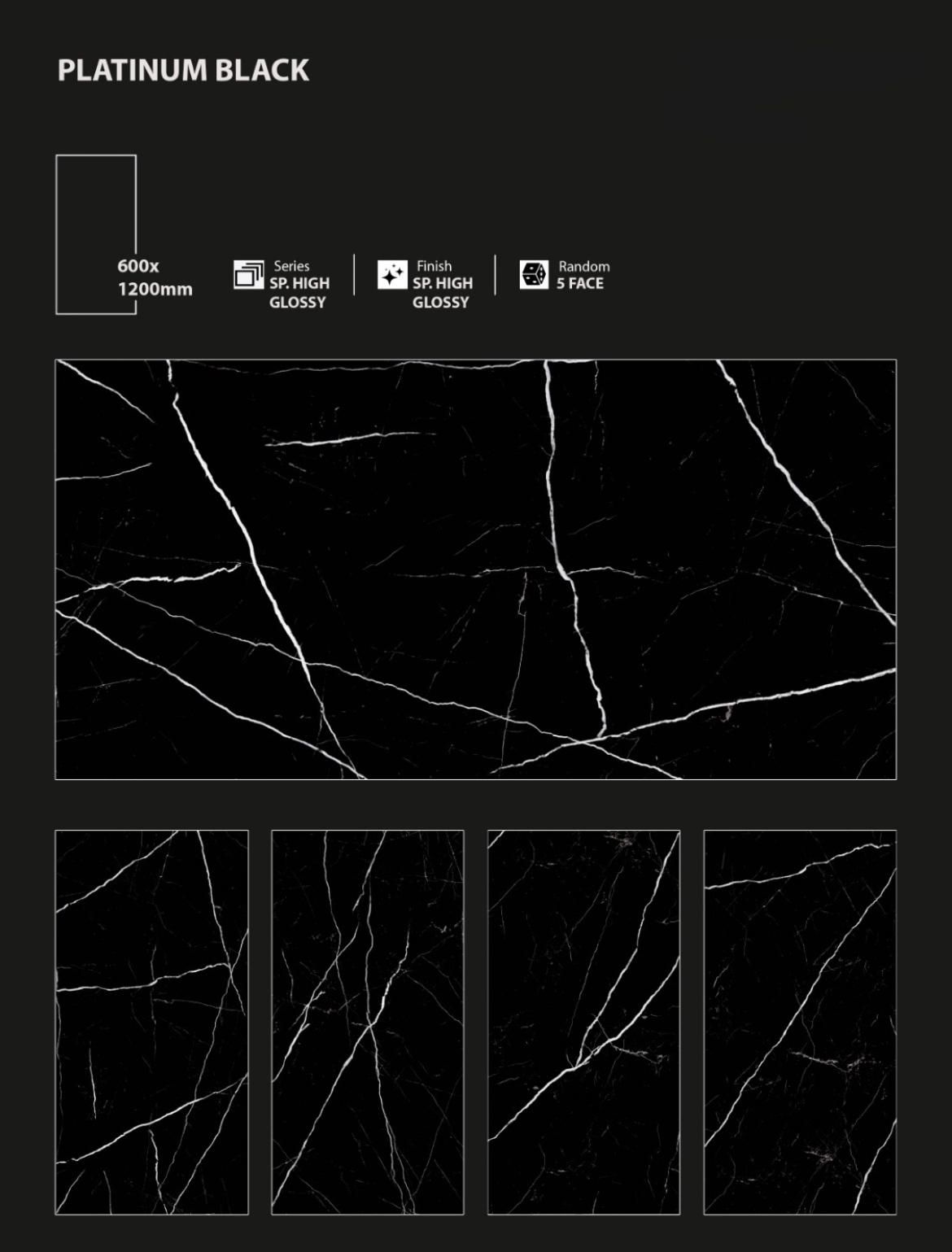 Platinum Black 60×120